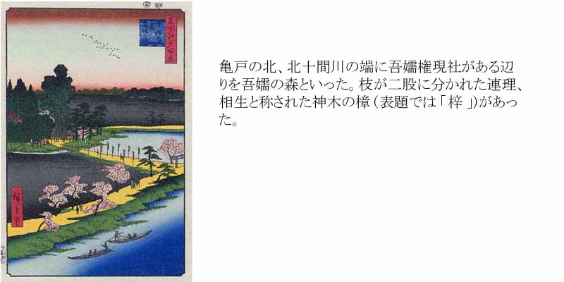 No 031 吾嬬の森連理の梓ー江戸百景 歌川広重 The Hiroshige 100 Famous Views of Edoー 芸艸堂