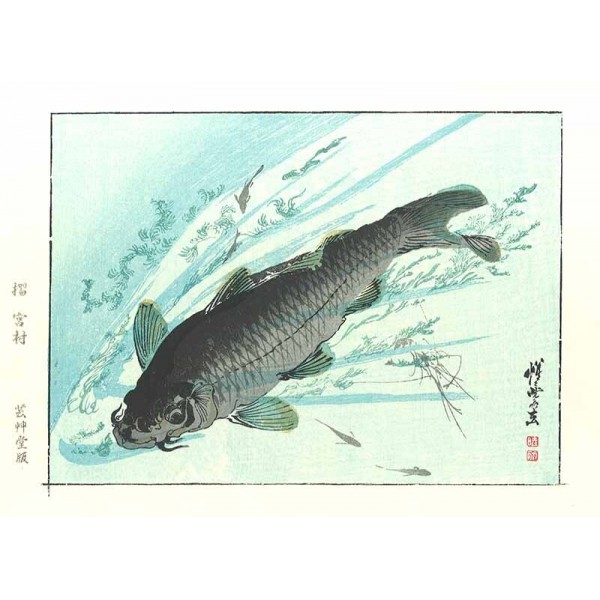 河鍋暁斎木版画ー川魚 | 芸艸堂 版元 | 京ものさんぽ