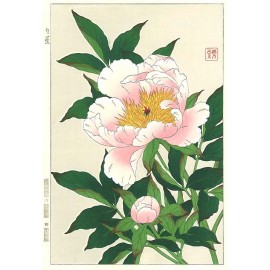 F13 芍薬 花版画 Flower Woodcut ーPeony ー | 芸艸堂 版元 | 京ものさんぽ