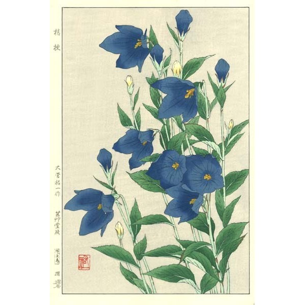 F179 桔梗 花版画 Flower Woodcut ーChinese bell-flowerー | 芸艸堂 版元 | 京ものさんぽ