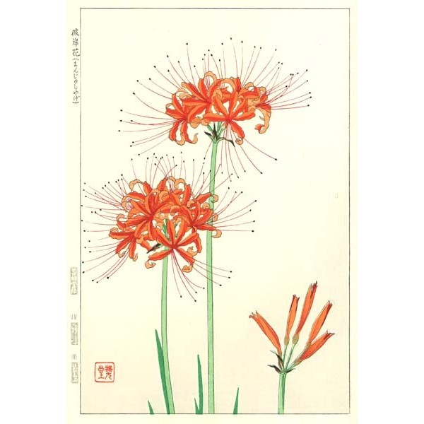 F119 彼岸花 花版画 Flower Woodcut ーCluster amaryllis ー | 芸艸堂 