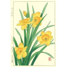 ラッパ水仙 花版画 Flower Woodcut -Daffodil- | 芸艸堂 版元 | 京もの 