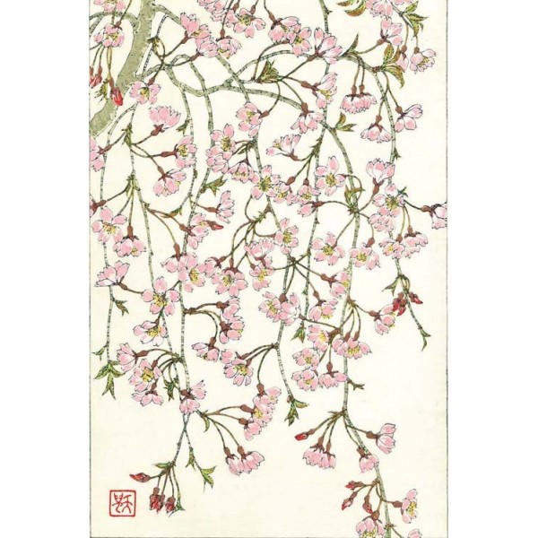 F143 しだれ桜ー花版画 Flower Woodcut ーWeeping cherry ー | 芸艸堂