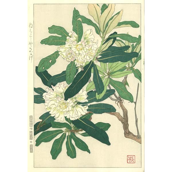 F147 ねもと石楠花 花版画 Flower Woodcut ーRhododendronー | 芸艸堂 ...