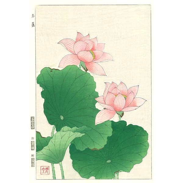 F59 赤蓮 花版画 Flower Woodcut ーLotusー | 芸艸堂 版元 | 京ものさんぽ